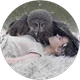 Oyun Crazy profil fotoğrafı
