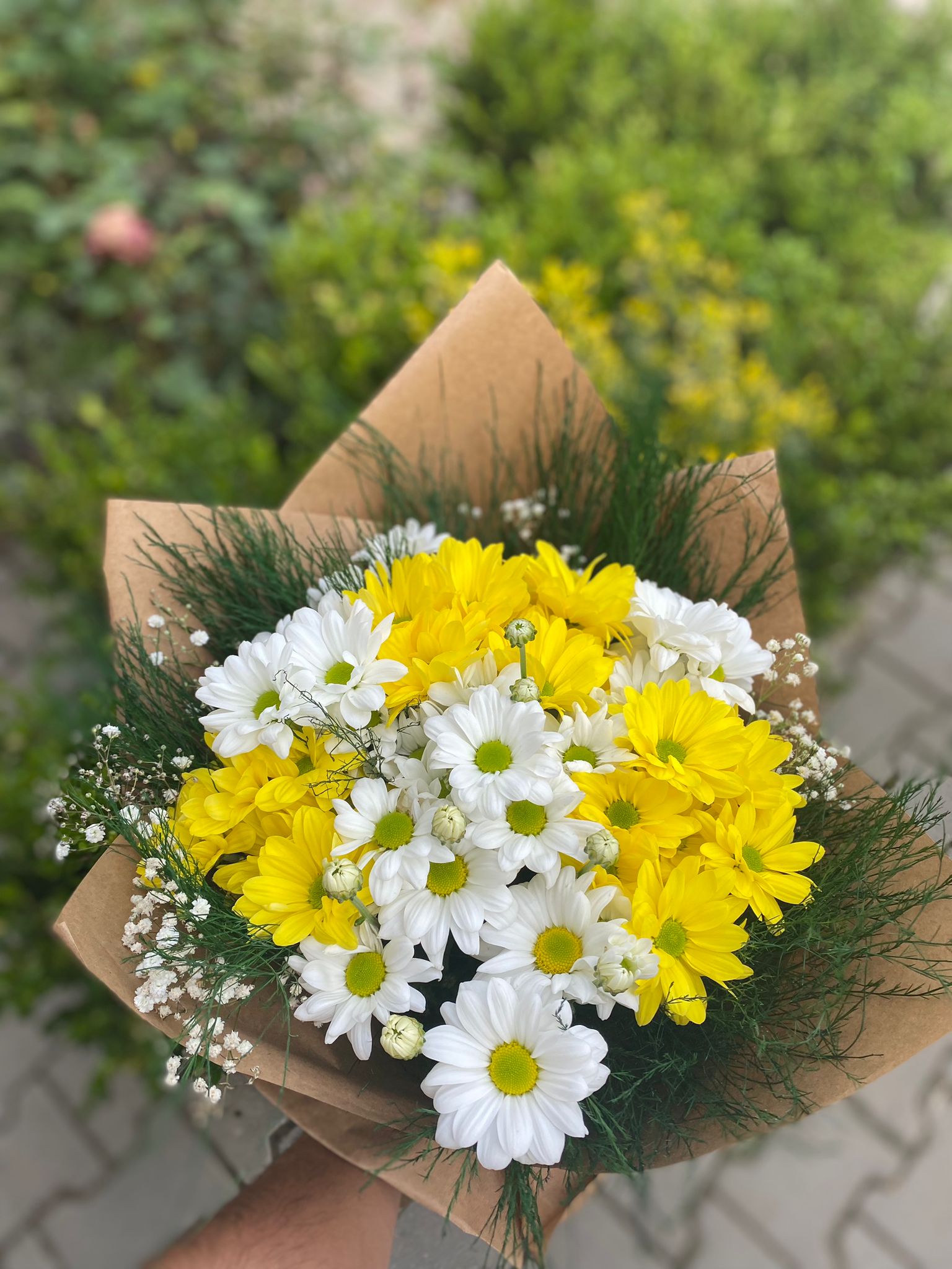 ÇANKIRI BOTANİK ÇİÇEK