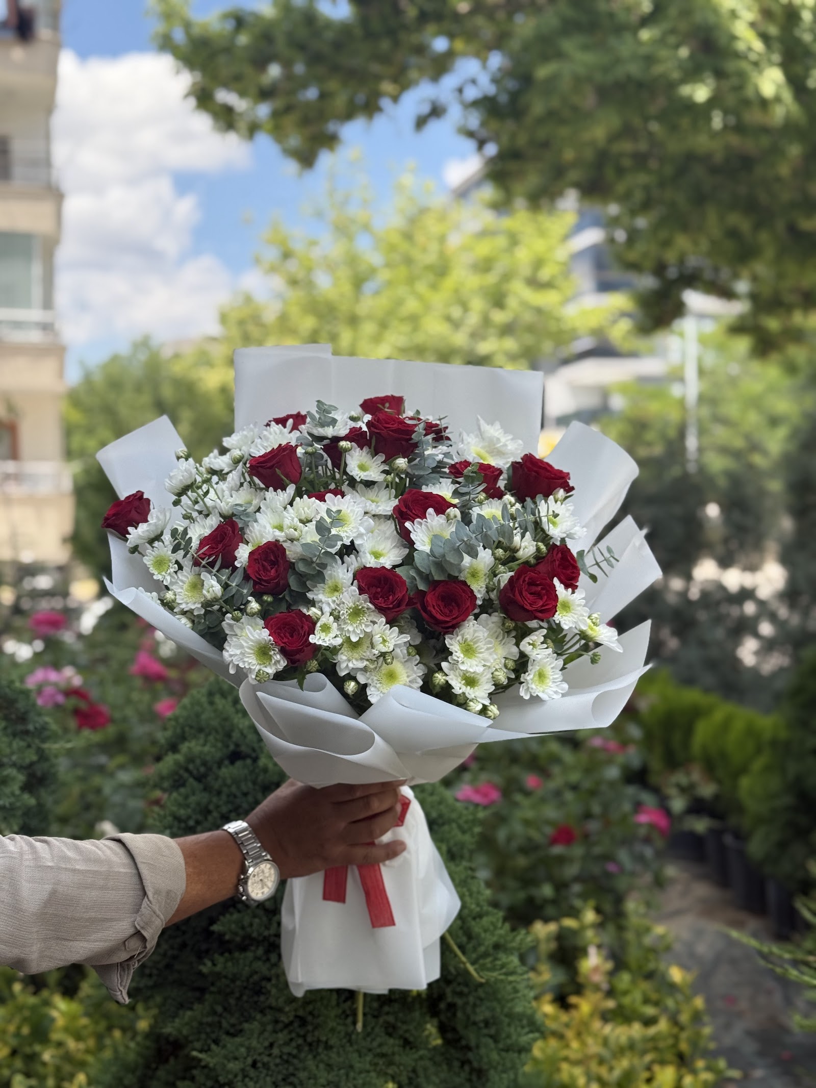 ÇANKIRI BOTANİK ÇİÇEK