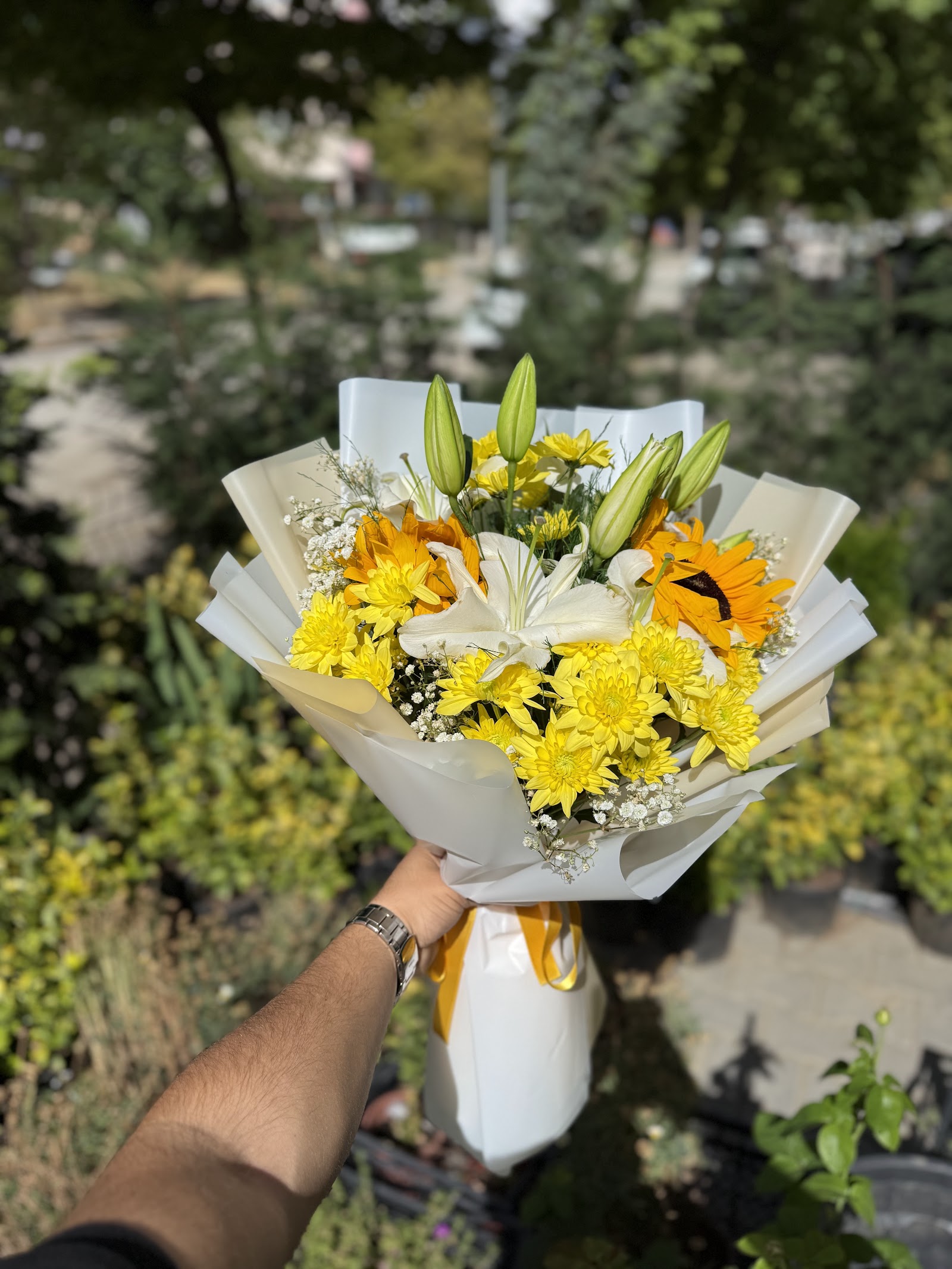 ÇANKIRI BOTANİK ÇİÇEK