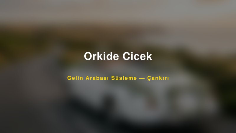 Orkide Cicek — Çankırı Kır Düğünü Mekanı Rehberi