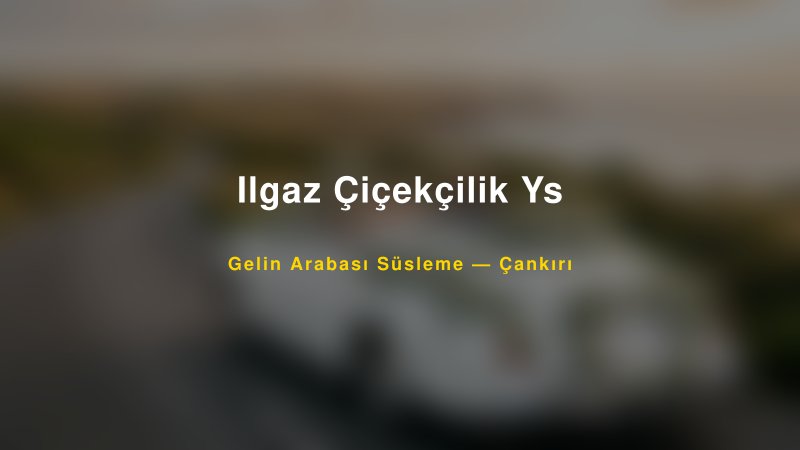 Ilgaz Çiçekçilik Ys Gelin Arabası Süsleme Fiyatları