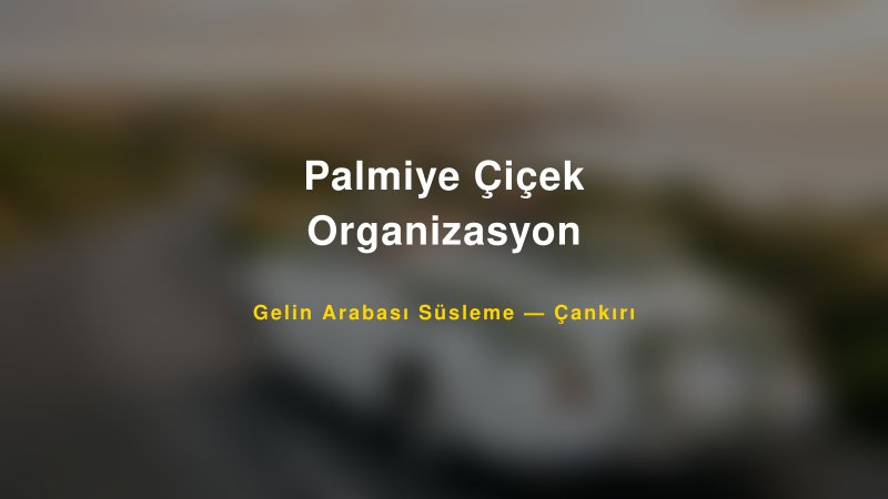 Palmiye Çiçek Organizasyon Çankırı Gelin Arabası Süsleme